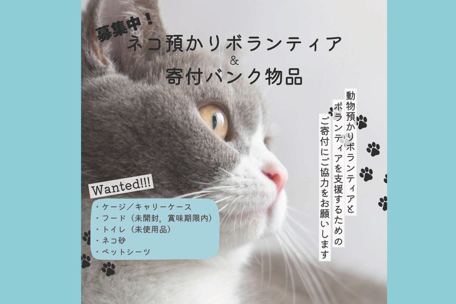 ペット（ネコ）預かりボランティア